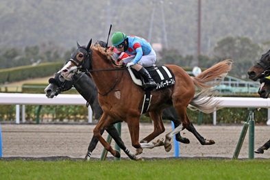 3���ڂ��������N���o�[�e�[�X�g